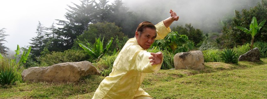 Grandmaster Wong Kiew Kit performing the kung fu pattern 'Dark Dragon Draws Water'